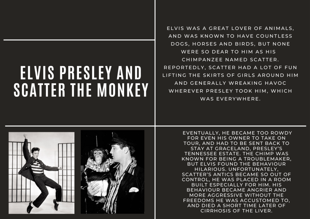 Elvis Presley and Scatter the monkey (1)